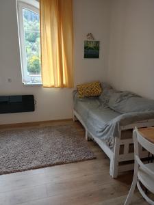 a bedroom with a bed and a window at Aichinger in Hanušovice