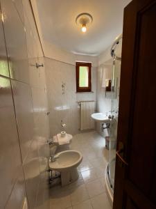 a bathroom with a sink and a toilet at Albergo Brustolon in Dont