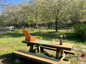 a wooden picnic table with a chair and a horse in a field at La Bohème aux wallabies in Pajay +6 photos
