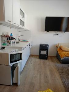 a kitchen with a sink and a microwave in a room at Aichinger in Hanušovice
