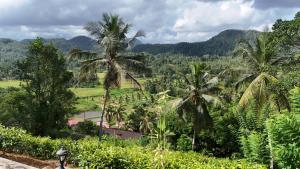 a view of a field of palm trees at Gal Bungalow in Elpitiya