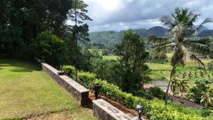 a view of a garden with a palm tree and mountains at Gal Bungalow in Elpitiya