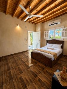 a bedroom with a bed and a ceiling fan at Slow Tunis in Tunis +16 photos