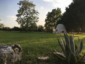 a plant in a field with a skull in the grass at Logis des Brousses in Lhommaizé