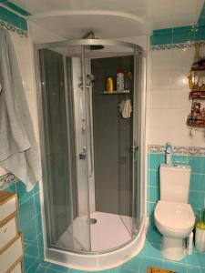 a bathroom with a shower with a toilet in it at Chambre dans charmant Cottage dans résidence agréable in Grasse