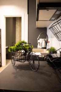 a black cart with plants in it in a kitchen at Kalma Apartment Xanthi Center in Xanthi +11 photos