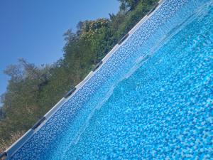 an overhead view of a large swimming pool with trees at Espace naturel in La Tour-de-Salvagny
