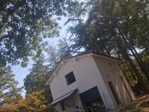 a small white house with trees in the background at Espace naturel in La Tour-de-Salvagny