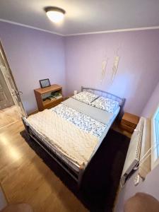 a bedroom with a bed in a room with purple walls at Chatka Bartka in Komarówka
