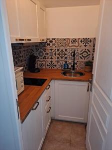 a small kitchen with a sink and a counter at BEAU STUDIO NEUF en provence in Pélissanne +2 photos