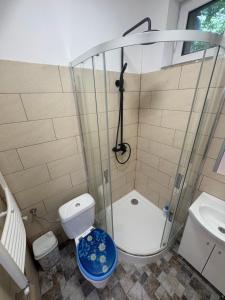 a bathroom with a shower and a toilet and a sink at Sixtor hause in Salonta