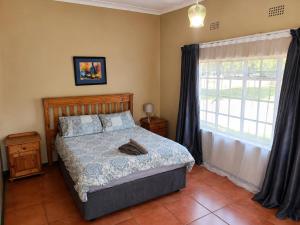 a bedroom with a bed and a window at Nut Tree Nook in Hazyview
