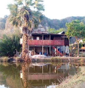 a house with a palm tree next to a body of water at Jufri Homestay in Kasijala