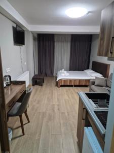 a hotel room with a bed and a kitchen at Bakuriani - Didveli Gallery B212 in Bakuriani