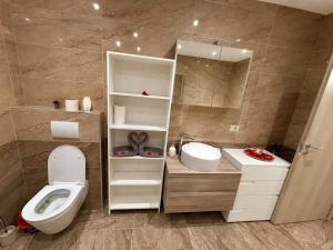 a bathroom with a toilet and a sink and a mirror at Apartmani LU&LO in Delnice +27 photos