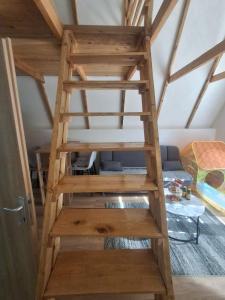a ladder leading up to a loft bed at Lajlas home in Orašac