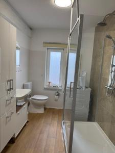 a bathroom with a shower and a toilet and a sink at Elbstone 1 in Wittenberge