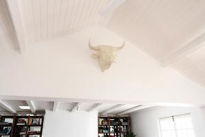 a bull skull on the wall of a room at Senhora do Cabo Meco Homy Holidays in Sesimbra