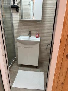 a bathroom with a sink and a shower at Апартаменти Атаман in Zhovtnevoye
