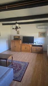 a living room with a couch and a flat screen tv at Holiday home Pustodol in Donja Stubica