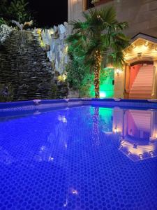 a large swimming pool with a palm tree in front of a building at Museum Luxury Guest House in Sheki