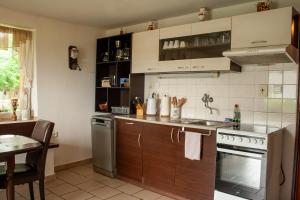 a kitchen with a sink and a stove top oven at Chalupa Na Žofíně in Horní Podluží