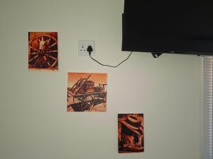 a wall with pictures hanging on a wall at Ossewa Rus in Sutherland