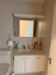 a bathroom with a sink and a mirror at Zurich Cozy Room in Zumikon