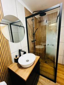 a bathroom with a sink and a shower with a mirror at Antonia home 2 in Târgu-Mureş +9 photos