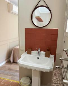 a bathroom with a sink and a mirror at A Casa Rosa in Omessa