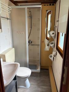 a bathroom with a shower and a toilet and a sink at Mobile home Le paradis dans la nature in Bourg-Saint-Pierre