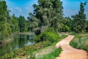 a dirt road next to a river with trees at appartement de la voie verte in Hauterive