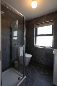 a bathroom with a shower and a toilet and a window at Dingle Lispole Garden Suite 10 B in Lispole