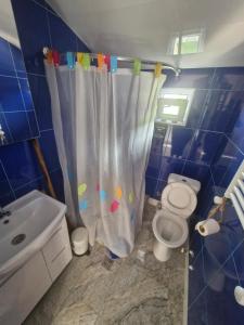a bathroom with a toilet and a shower curtain at Ananuri Veranda-Guest House in Ananuri +34 photos