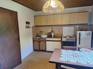 a kitchen with a refrigerator and a table and a chandelier at Vikendica Katarina in Ovčar Banja