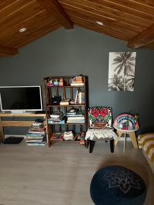 a living room with a tv and a book shelf at La bohème, gîte de charme in Quincié-en-Beaujolais