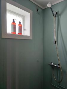 a bathroom with a shower with two bottles in a window at Quiet Valley Tomrefjord in Vestnes +29 photos
