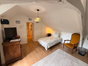 a bedroom with a bed and a tv and a chair at Villa du Beau Port in Cenon-sur-Vienne