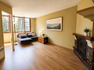 a living room with a couch and a fireplace at Montana Family Nature in Enveitg