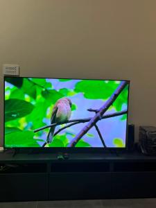 a television screen with a bird sitting on a branch at Baam-E-Noor , Pine Tree Resort , Margalla Hills Islamabad in Harīpur