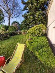 a lounge chair sitting on the grass in a yard at Blick-ueber-Hohegeiss in Hohegeiß