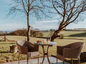 two chairs and a table with drinks on it in a field at Copper Beech Cottage in Welshpool