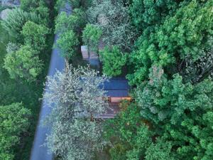 an overhead view of a road in a forest at Maringotka Bára in Huslenky +2 photos