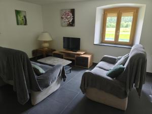 a living room with two chairs and a tv at Gite la Tourbiere in Fellering