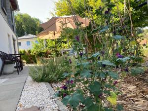 a garden with purple flowers in a yard at SweetSuites 40A Lavendelhaus in Mühlhausen