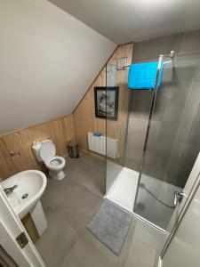 a bathroom with a shower and a toilet and a sink at lakeview Guesthouse Virginia in Lisgrea +29 photos