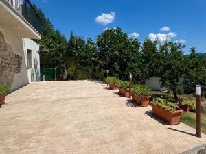 a row of potted plants are lined up on a sidewalk at La Sorgente Alta in Rocchetta a Volturno