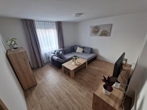 a living room with a blue couch and a tv at Zelená in Františkovy Lázně