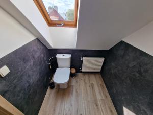 a bathroom with a toilet and a window at Zelená in Františkovy Lázně +16 photos