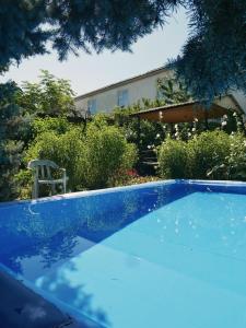 a blue swimming pool with a chair in a yard at Sakura Guesthouse in Bishkek